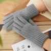 Windproof Cycling Driving Gloves Touch Screen All Finger Gloves Daily Short Mittens  Winter