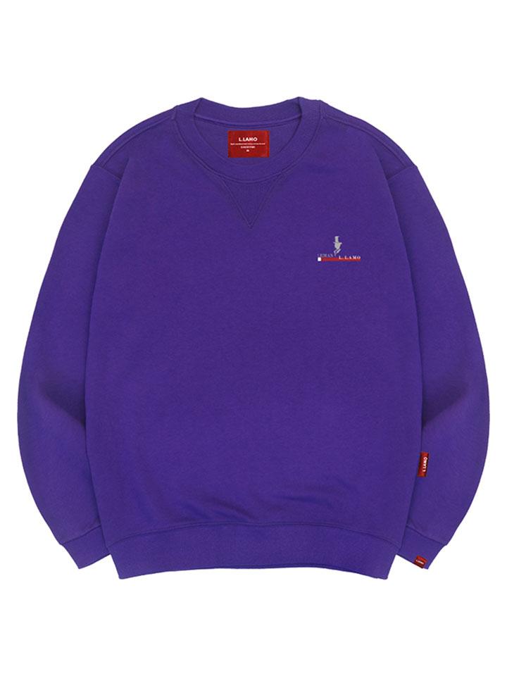 Серый мужской свитшот Ellamo, унисекс, больших размеров S~4XL (Тип Б)