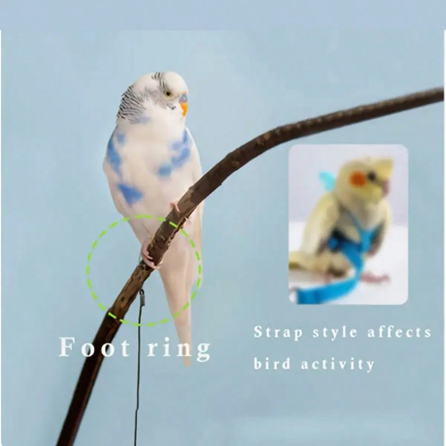 Fashionable Bird Release Rope for Daily Outdoor Activities with Foot Ring And Lobster Clasp Durable Bird Leash for Beloved Birds