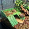 with Suction Cups Turtle Basking Platform Double Ladder Reptile Terrace  Aquatic Turtles