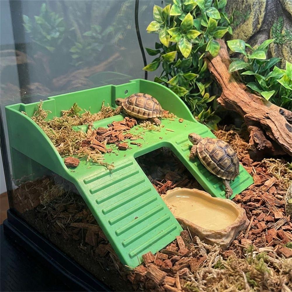 with Suction Cups Turtle Basking Platform Double Ladder Reptile Terrace  Aquatic Turtles