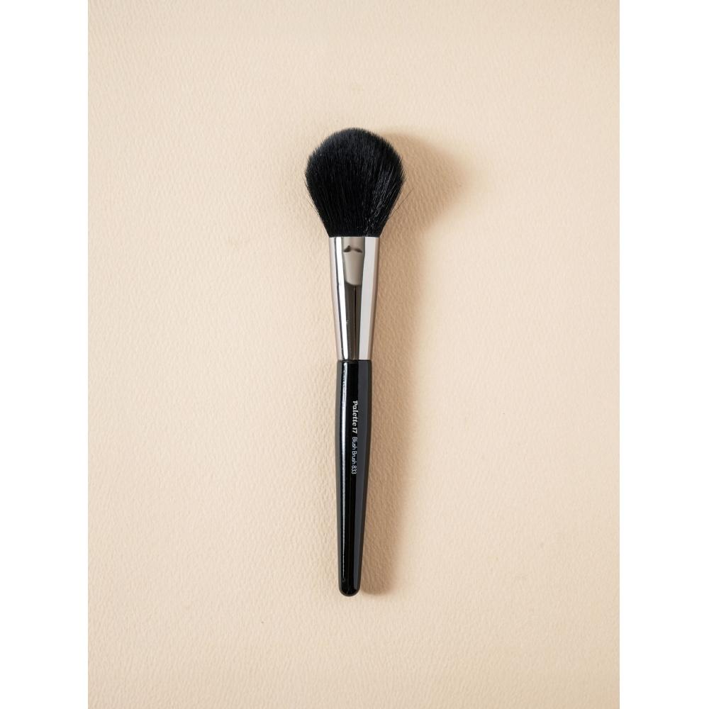 Daiso Palette 17 Blush Brush