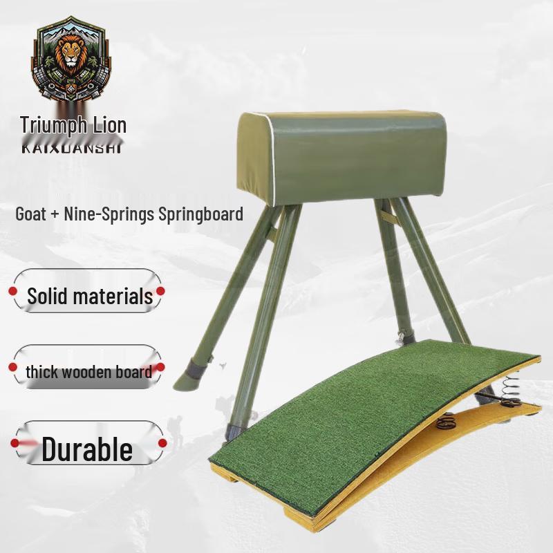 Gymnastics Vaulting Horse and Springboard