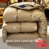 Camel Wool Winter Quilt - Thick, Warm, Double Layer, 10 Jin Cotton & 8 Jin Wool Core