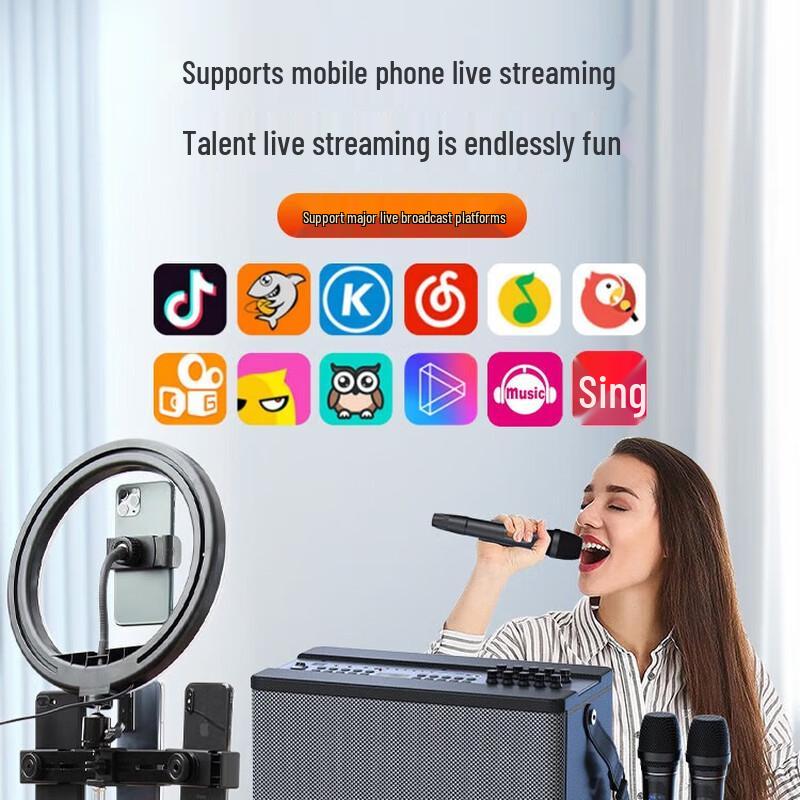 Sansui SS190 Portable Outdoor KTV Speaker CN plug (adapter included)