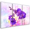 Three Piece Picture Canvas Print Violet Orchid Flower