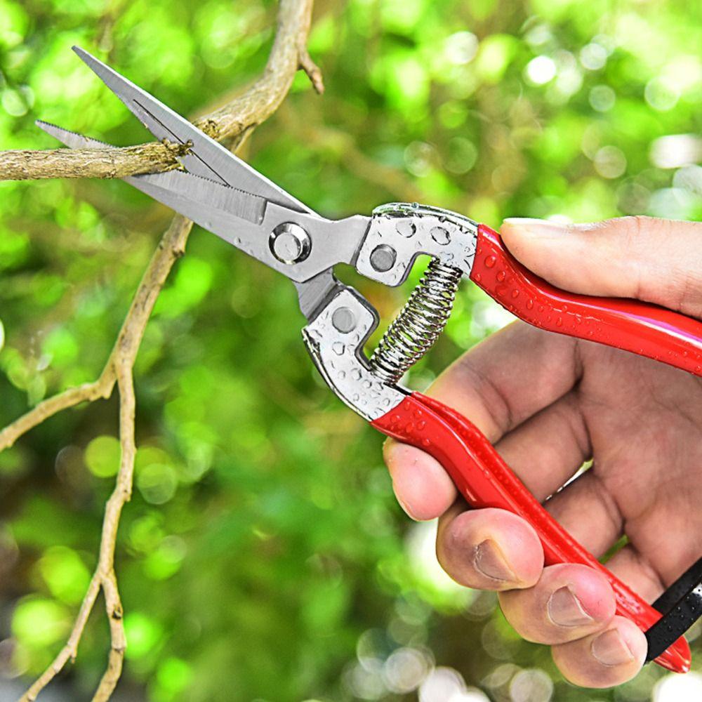 1 шт., ножницы для флориста, садовые ножницы для обрезки деревьев, садовые ножницы с микронаконечниками
