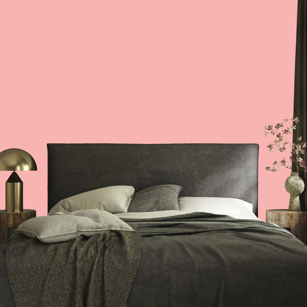 Wallpaper Solid Backgrounds Coral Background, Coral Center 50x1000