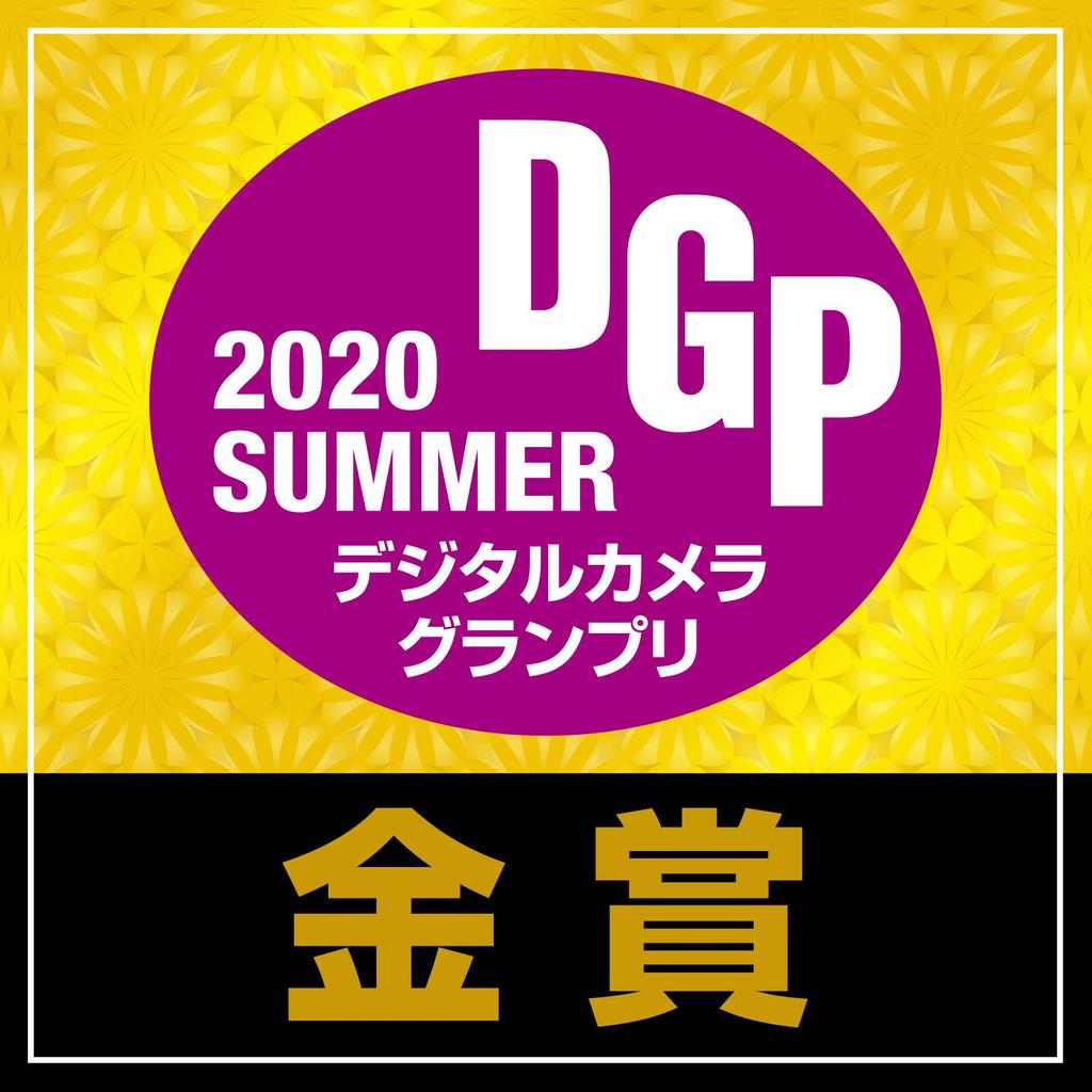 Nikon Telephoto Zoom Lens NIKKOR ED VR AF-S 200-500mm f/5.6E