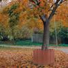 1 Bag Plastic Lawn Edging Fence Garden Landscape Border Reusable Portable Straight Or Curved Design for Sidewalks Flower Beds