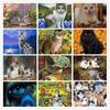 DIY Diamond Painting Animal Cross Stitch Craft Full Round Drill Cute Cat Rhinestone Mosaic Gift Decorations For Home