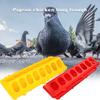 Chicken Feeding Trough Colorful 14 Holes Enlarged Chicken Trough Feeding Tray for Animal