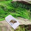 Tortoise Water Dish Reptile Bowl, with Steps Ramp Practical, Durability, Feeding Dish,