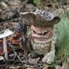 Fairy Mushroom Monster Shaman Wizard Troll Resin Garden Ornament Yard Lawn Outdoor Decor