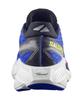 Salomon Aero Glide 4_L49147400 (B Type)