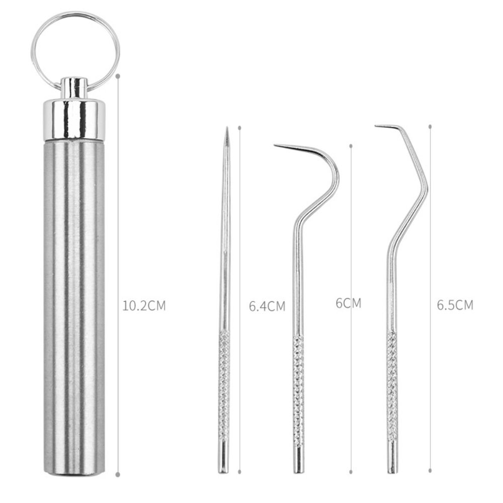 Oral Cleaning Tool Toothpick Pocket Set Stainless Steel Toothpick Set Tooth Pick Keychain Holder