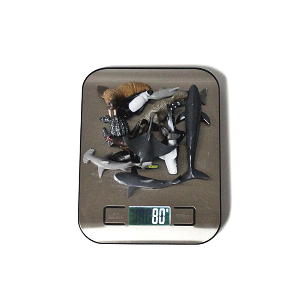 12 шт. Имитация фигурок морских животных Модель Детская игрушка Детская игрушка для ванны Маленькая игрушка Развивают их воображение и креативность