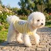 Plush Warm Pet Warm Sweater Two Legged Pet Knit Sweater Bear Pattern Cat Pullover  Cat