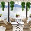 1Pcs Artificial 5Forks Rattan Eucalyptus Wall Hanging Simulation Greenery Fake Hanging Plants Vine Diy  Home Outdoor Decor Plant