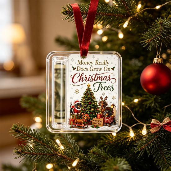 Money Gift Decor Christmas Cash Holder Ornament, Acrylic Angel Santa Cat Transparent for Xmas Tree, Holiday Party Hanging Decoration with Lanyard Easy
