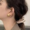 Frosted Gold-plated Brushed Spherical Hoop Earrings for Women Retro Unique Creative Versatile Accessories