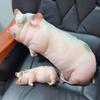 Simulation Pig Plush Toy Lifelike Stuffed Pig Toy Kawaii Pig Plush Doll  Close Friends