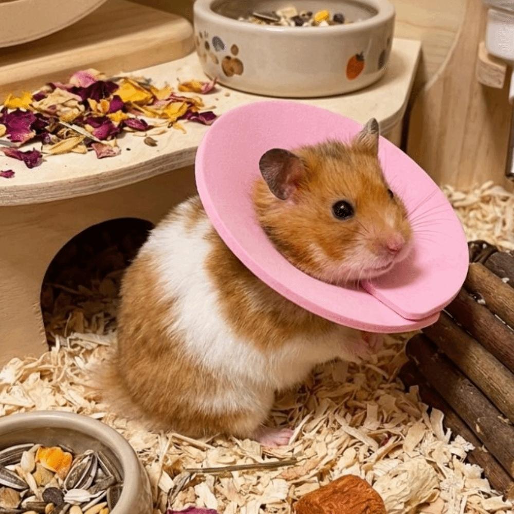 Adjustable Anti Licking Collar Anti-Bite Protective Collar for Bird Hamster Rabbit