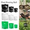 Черенкование Прививка Корневой ящик Прессование веток Укоренение Размножение шаровидных растений Коробка для размножения под высоким давлением