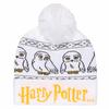 HARRY POTTER Unisex Adult Snow Hedwig Beanie