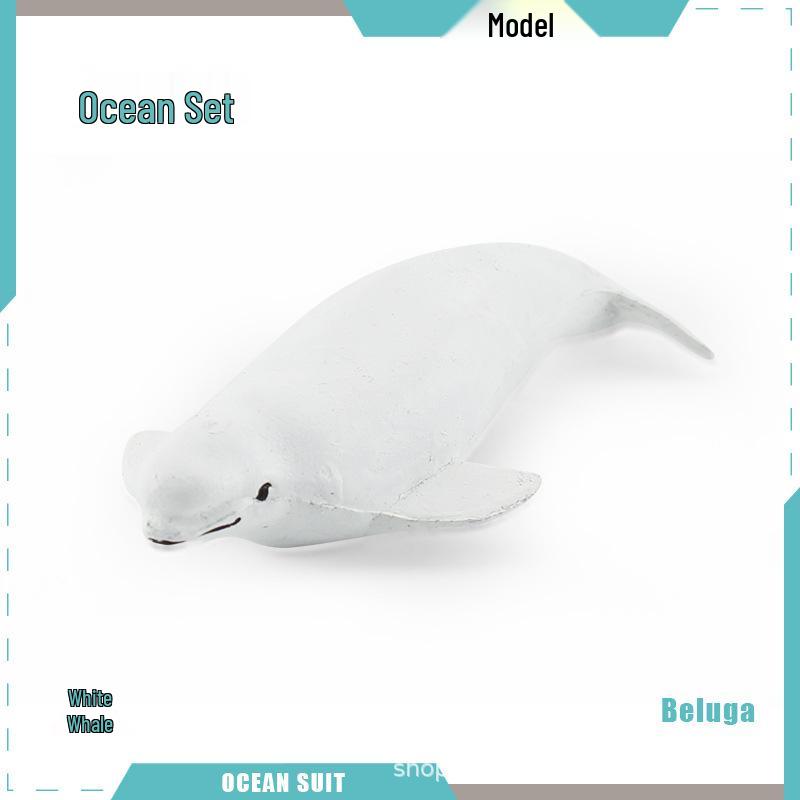 Children's Marine Animal Model Set: Mini Whale, Shark, Dolphin, Turtle, Sea Lion