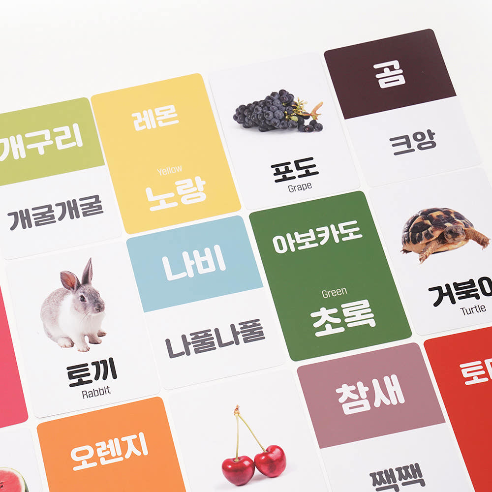 Atti Rabbit Vivid Pair Word Cards Korean and English Fruit and Animal 56 Cards