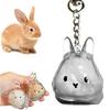 1/4Pcs Pet Rabbit Hair Keychain Keepsake Capsule Memorial Pendant Hair Storage Bottle Transparent Pet Hair Key Chain