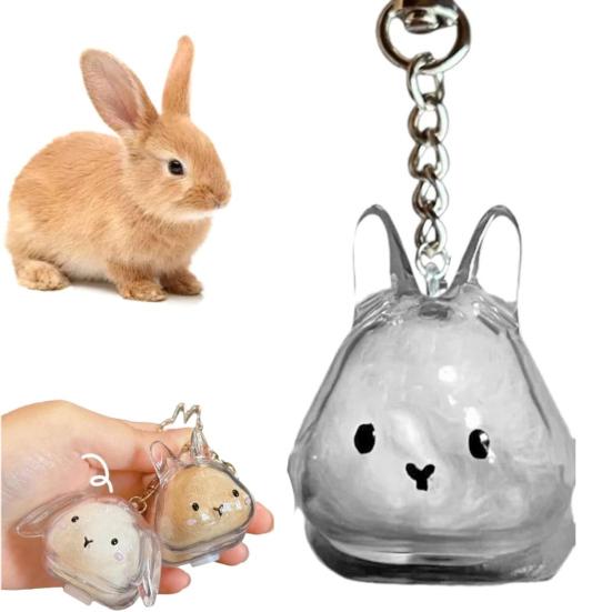 1/4Pcs Pet Rabbit Hair Keychain Keepsake Capsule Memorial Pendant Hair Storage Bottle Transparent Pet Hair Key Chain
