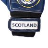 Scotland FA Boys Goalkeeper Gloves