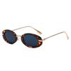 Trendy Fashion Small Frame Sunglasses UV Protection Women Sunglasses Summer Shades  for Women & Men