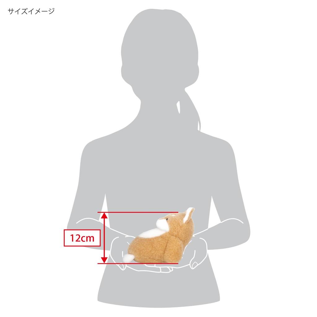 Sanei Boeki Chirumite Shiba W11 X D15 X H12cm Plush Toy