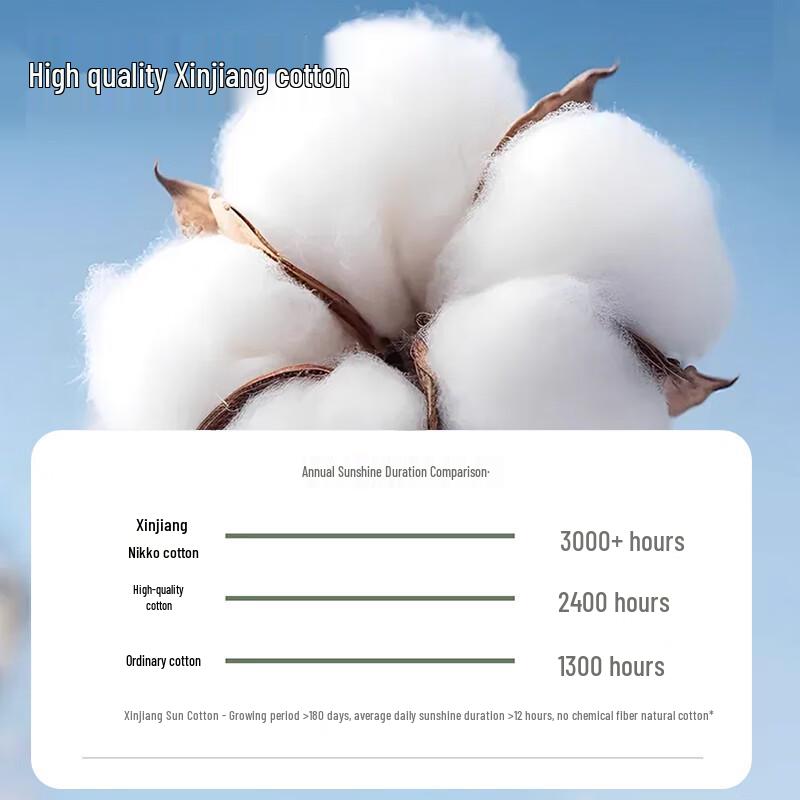 Boruimama Women's Plus Size High-Waist Cotton Briefs