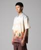 DICKIES Running Wild Shirt Oak Buff
