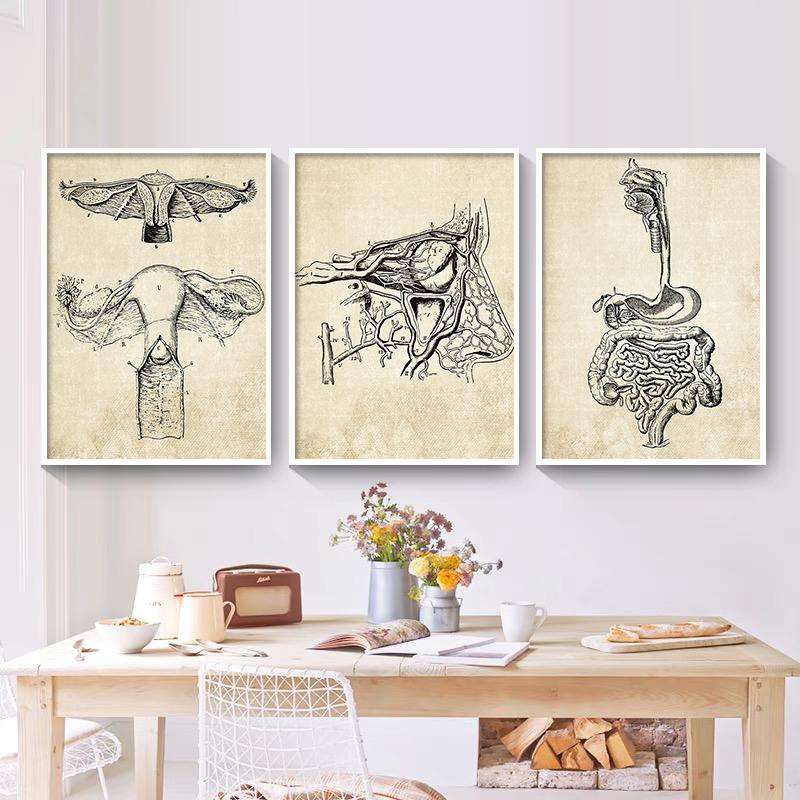 Постеры на скандинавскую тему и принты, настенная живопись на холсте, Анатомия, скелет, винтажные настенные панно для больницы, доктора, офисного декора
