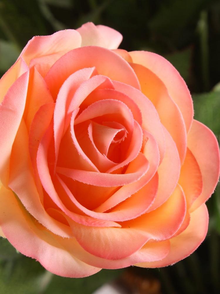 12 шт. искусственных шелковых роз, искусственные цветы, розы, цветы, цветочная композиция, букет для дома, свадьбы, вечеринки, сада, свадебного украшения