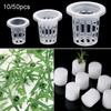 Garden Supplies Planting Aquarium Cultivation Flower Pots Seed Trays Planting Basket Nursery Sponge