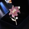 Women's Light Luxury Design Elegant Orchid Brooch Fashionable And Versatile Niche Design Sense Brooch Daily Accessories