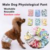 1/3pcs Washable Male Dog Physiological Pant Adjustable Belly Wrap Band Reusable Sanitary Diaper for Small Large Dog RandomColor