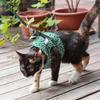 Adjustable Large Cats Vest Harness for Small Cats No Pull Design with Leash Breathable Vest Bright Color