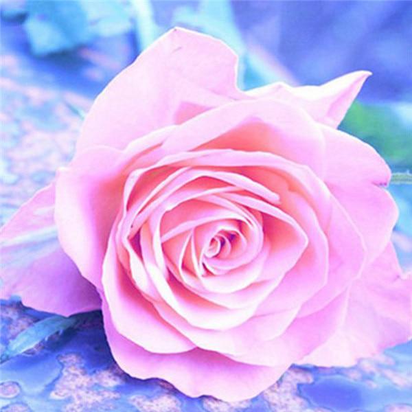 Алмазная вышивка Цветы Алмазная картина ручной работы Роза Изображение Стразы