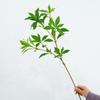 Силиконовые Листья Имитация Растения Дерево Имитация Бионическое Растение Украшение Искусственное Растение Декор Отеля