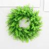 Living Room Decor Artificial Eucalyptus Wreath Garden Christmas Door Decor Faux Plant Flower Ring Home Decorative Accessory