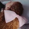 [Моменты Елизаветы] Большая заколка для волос с шифоновой лентой