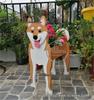 Independent Station Cross-border Garden Art Craft Ornaments: Dog & Cat Flower Pot and Planter