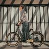 MIHOGO AIR Online electric bicycles T800 carbon fiber frame 750W rear brushless permanent magnet motor